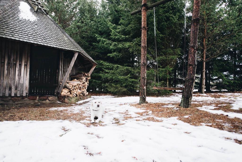 Pakaso Sodyba Kirdeikiai المظهر الخارجي الصورة